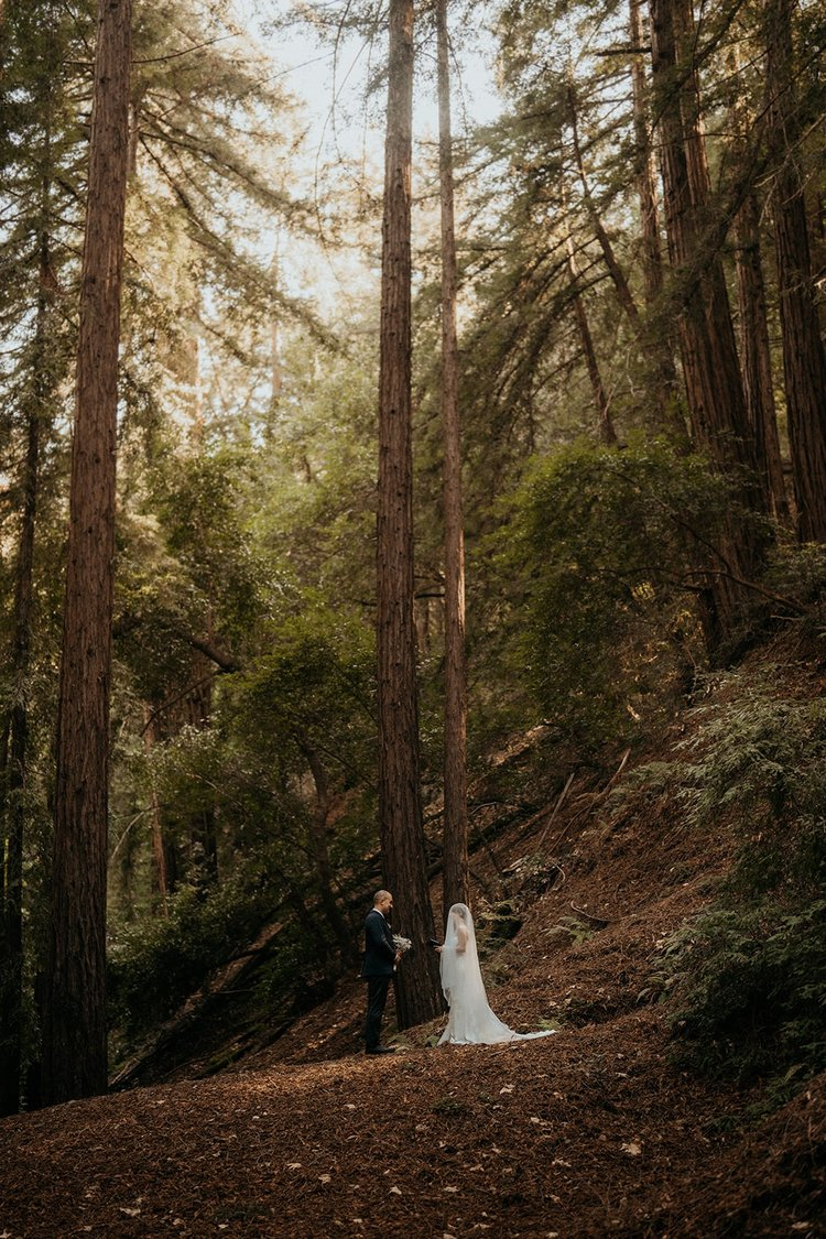 Bride and groom standing in the redwood forest during their Big Sur elopement.