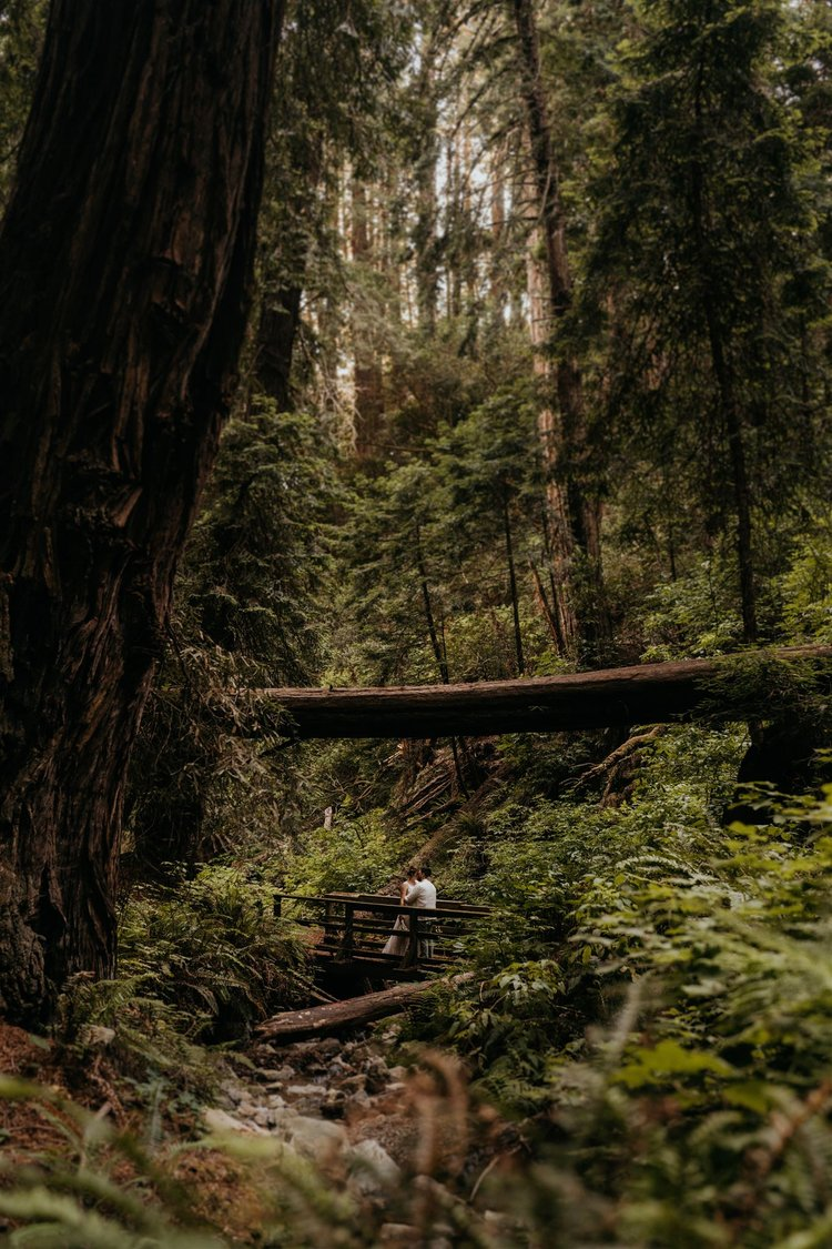 Marin Headlands elopement photos in the forest.
