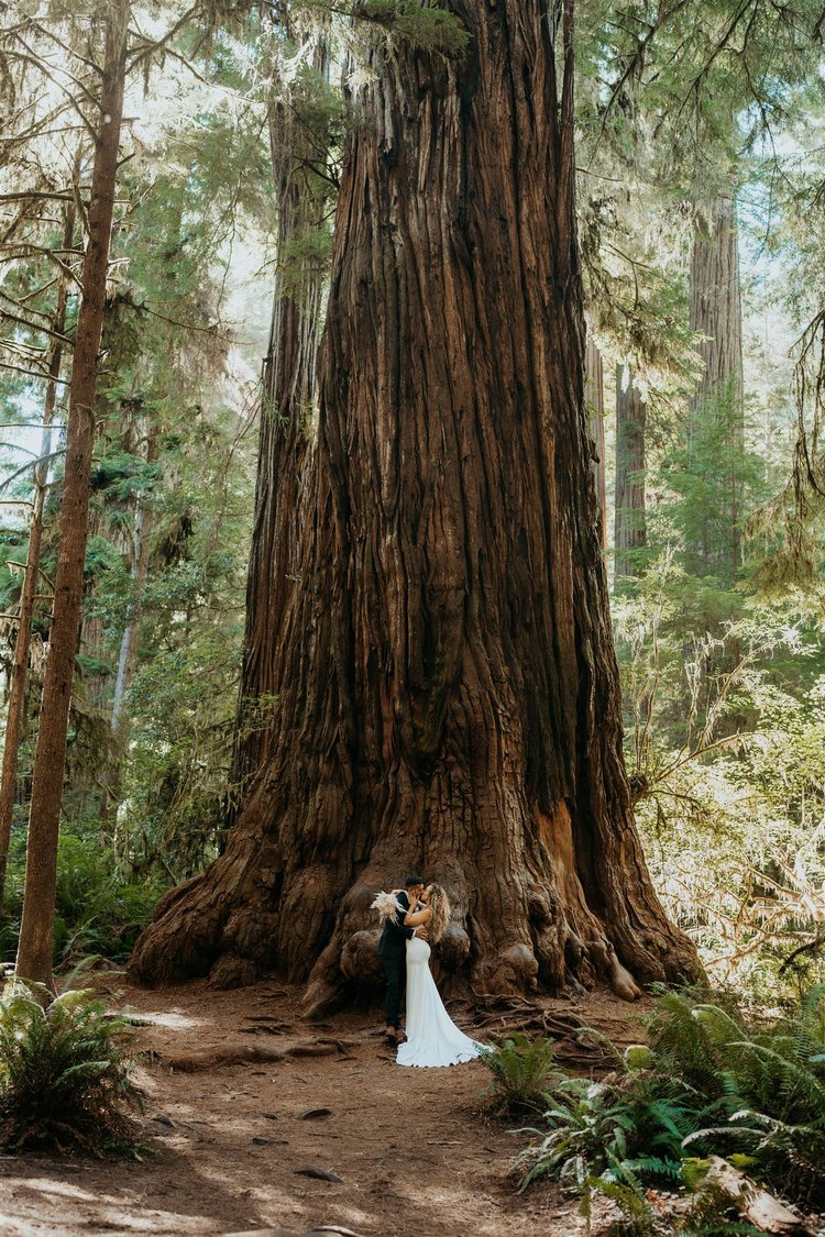 Bride and groom stand at the base of a redwood tree in the forest during their California elopement.