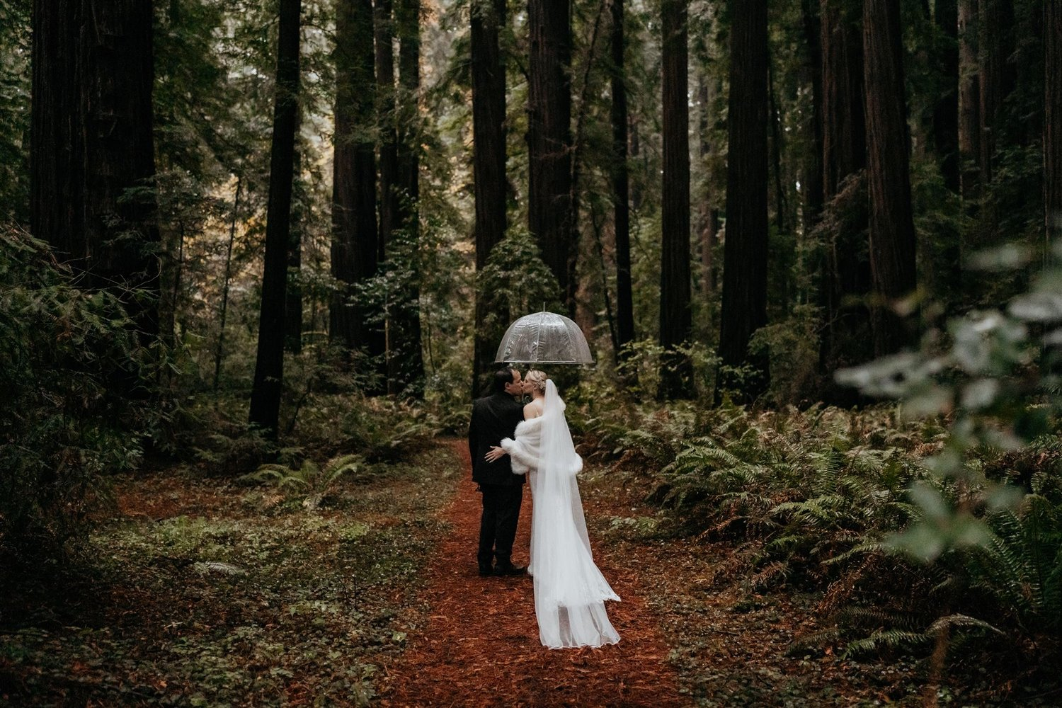 Bride and groom walk along a forest trail in Redwoods National Park during their California elopement.