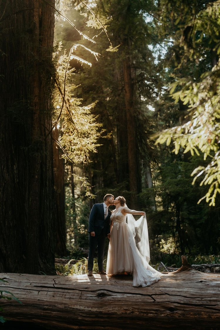 Bride and groom kiss on a forest trail during their California elopement in the Redwoods.
