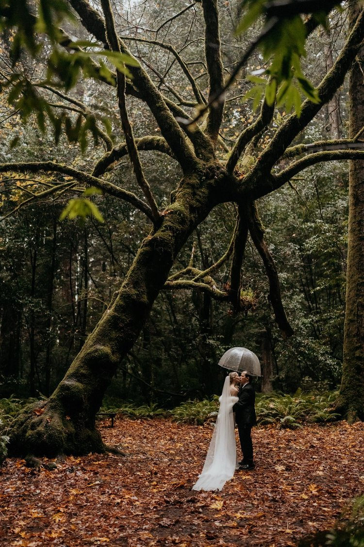 Bride and groom walk under moody redwood trees during their forest elopement in California.