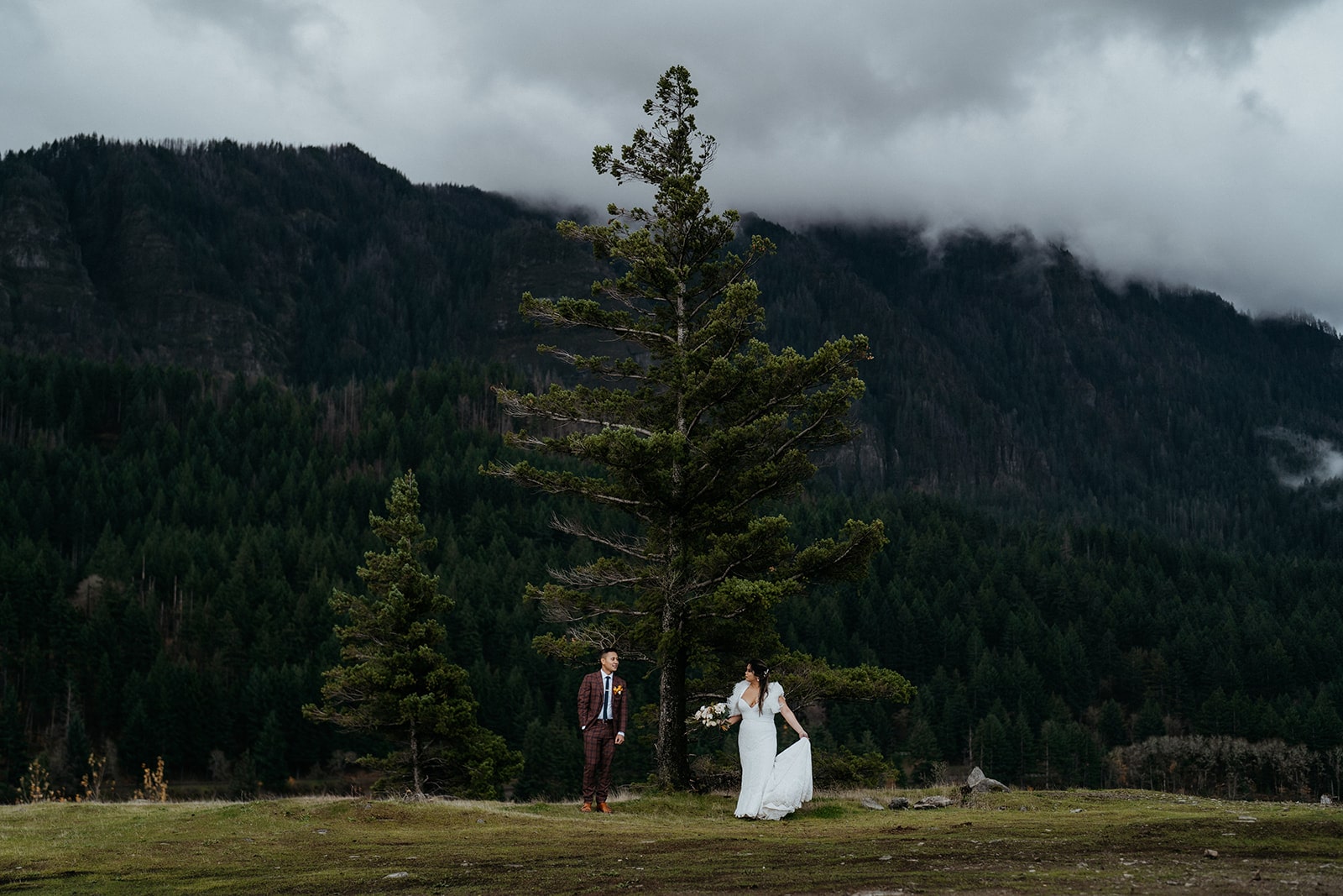 Bride and groom stand on either side of a pine tree during their elopement in the Columbia River Gorge.