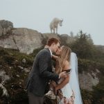 newlyweds kissing with a mountain goat in the background gazing on them during their mountain micro wedding.