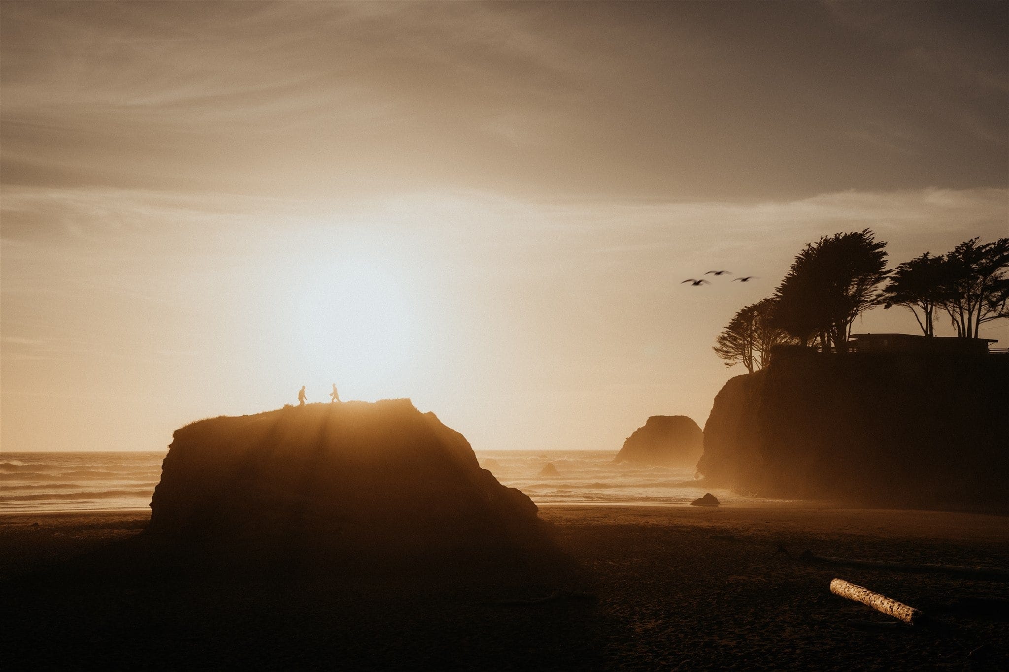Two grooms stand on a large rock on a beach in Mendocino, California during their sunset adventure photos at their camping wedding.
