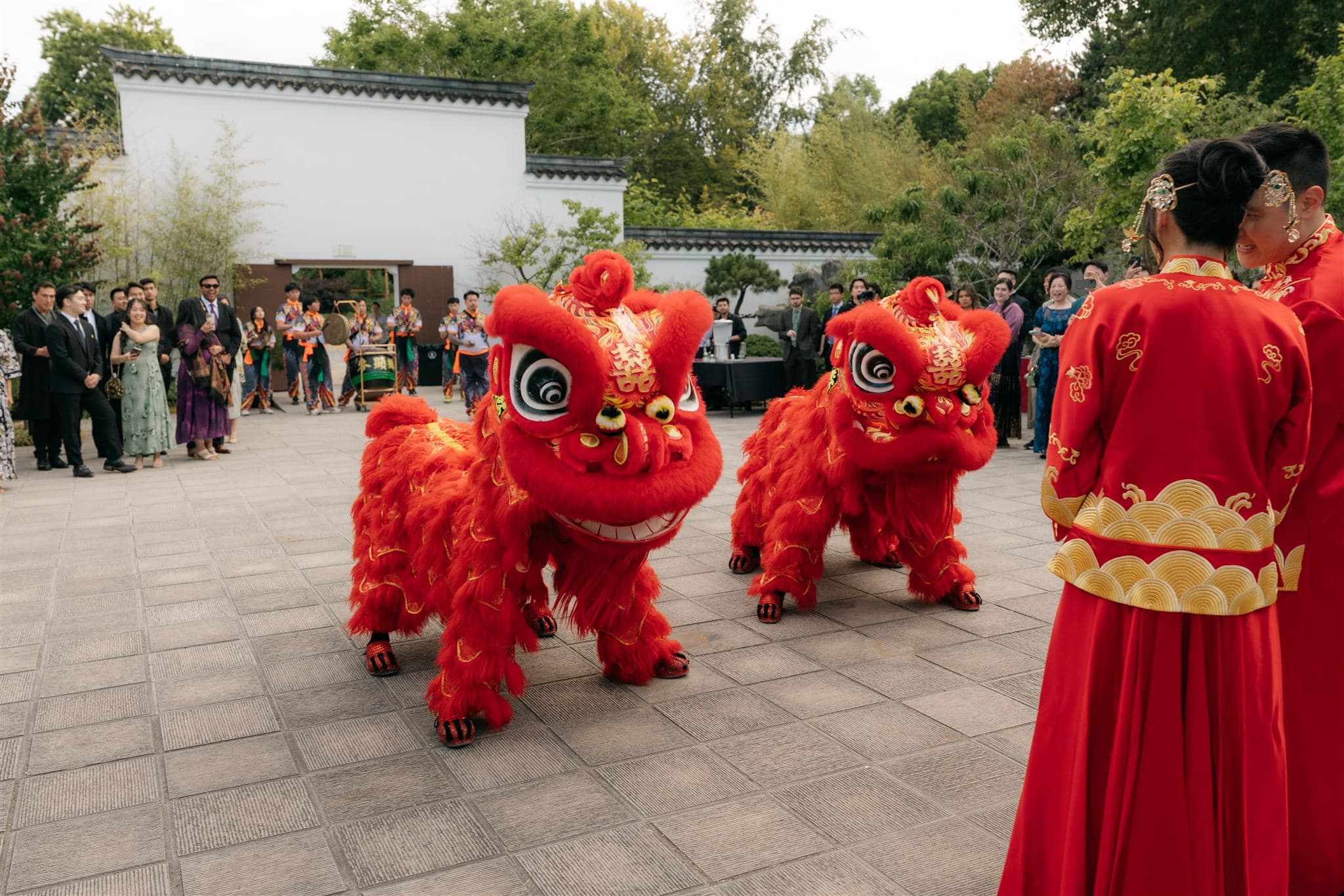 Lion dancing at a Seattle Chinese wedding.