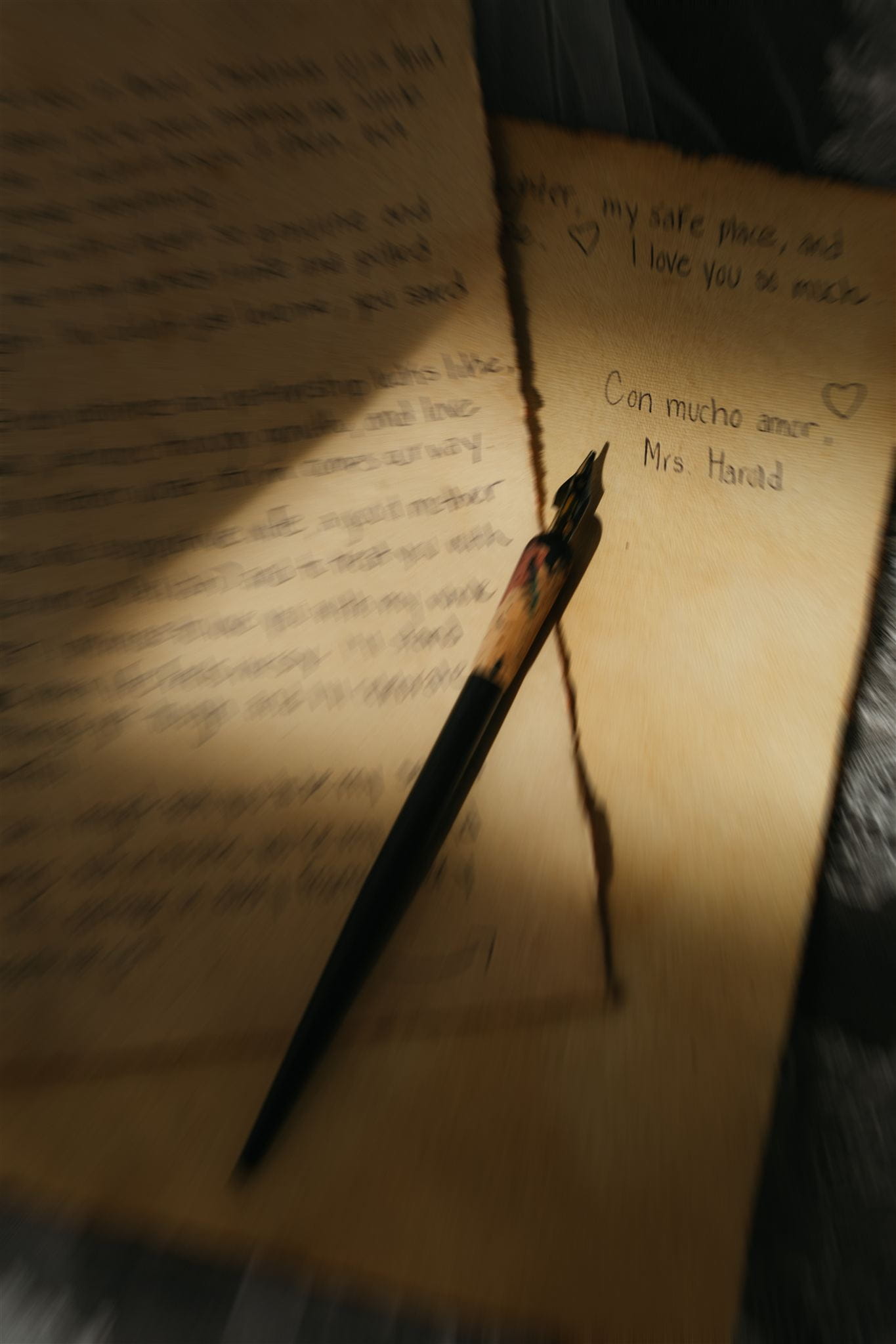 Handwritten calligraphy vows.