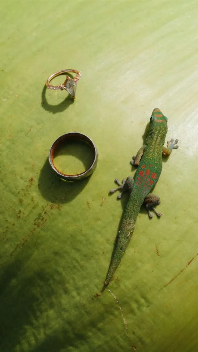 Detail photos are just scavenger hunts with a camera.
This gecko absolutely earned a spot in the wedding gallery.